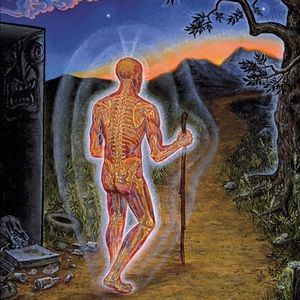 Meet your Posher, Fernando